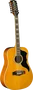 EKO Guitare Acoustique-Électrique Dreadnought Ranger 12 Cordes Vintage Natural