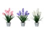 IBERGARDEN Lot de 3 Grandes Macetas - Blanc, Lila et Rose