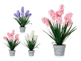 IBERGARDEN Lot de 3 Grandes Macetas - Blanc, Lila et Rose