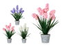IBERGARDEN Lot de 3 Grandes Macetas - Blanc, Lila et Rose