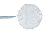 VIVALTO Plat plat bleu 28 cm en cristal