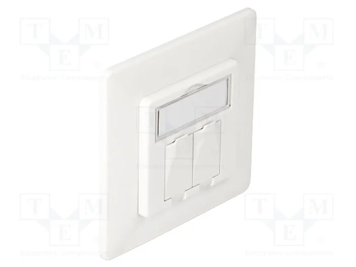 DELOCK Prise murale Keystone blanc 2 ports DELOCK Prise murale Keystone blanc 2 ports