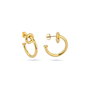 Boucles d´oreilles Femme Radiant RY000345 Doré
