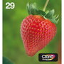 Epson Multipack EasyMail T2986 - Noir, Cyan, Jaune, Magenta