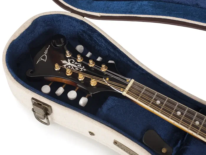Gator Journeyman Deluxe Étui en bois pour mandoline - Canvas