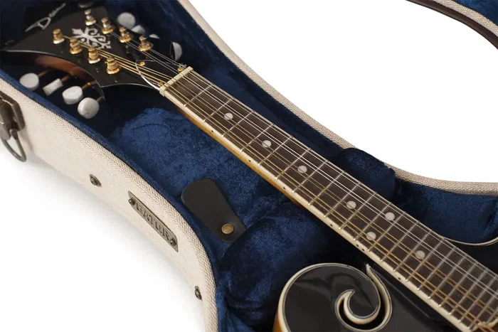 Gator Journeyman Deluxe Étui en bois pour mandoline - Canvas