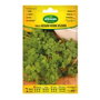 Agreen Sachet de graines de persil frisé vert foncé