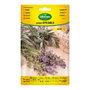 Agreen Sachet de graines de lavande officinalis