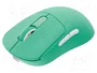 FURY TANTO T4 Souris sans fil couleur menthe