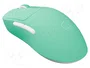 FURY TANTO T4 Souris sans fil couleur menthe