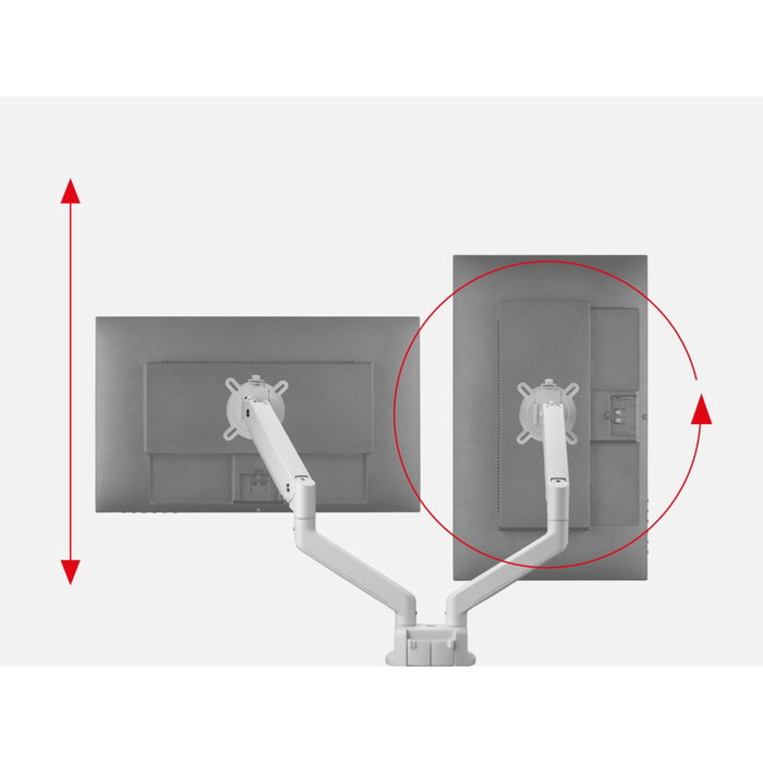 One Monitor Mount Solid Dual White DM 4220