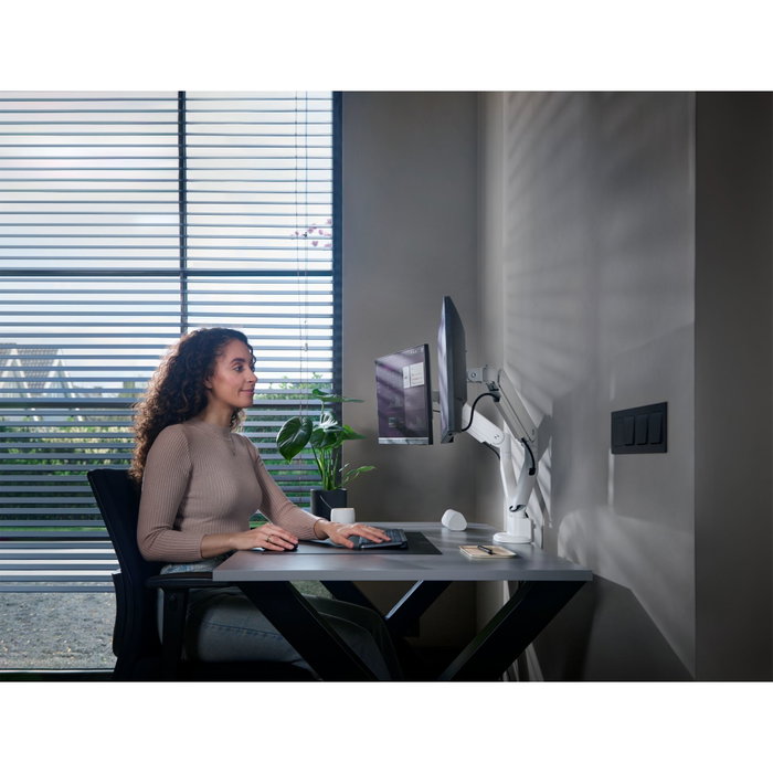 One Monitor Mount Solid Dual White DM 4220
