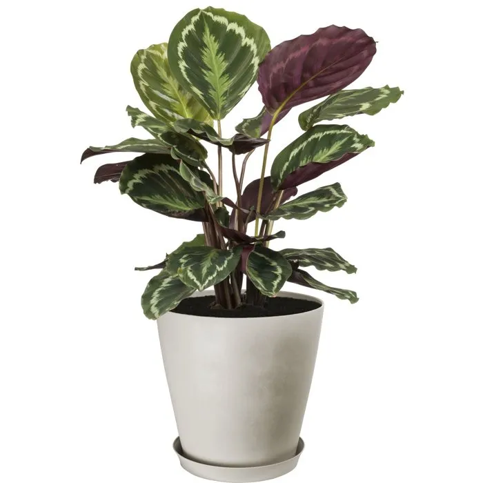 Garden Id - Pot de fleurs rond Swing Cone en pierre, diamètre 35 cm, 23 L, 34 cm, pour intérieur et extérieur