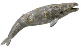 COLLECTA Baleine Grise XL