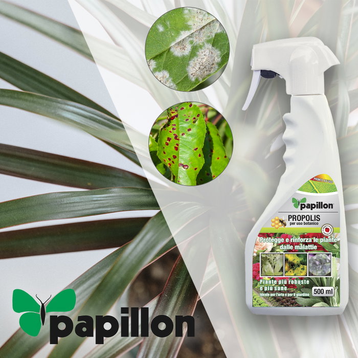 PAPILLON Propolis pour champignons et bactéries 500 ml PAPILLON Propolis pour champignons et bactéries 500 ml
