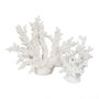 BigBuy Home Figurine Décorative Corail Blanc en Résine