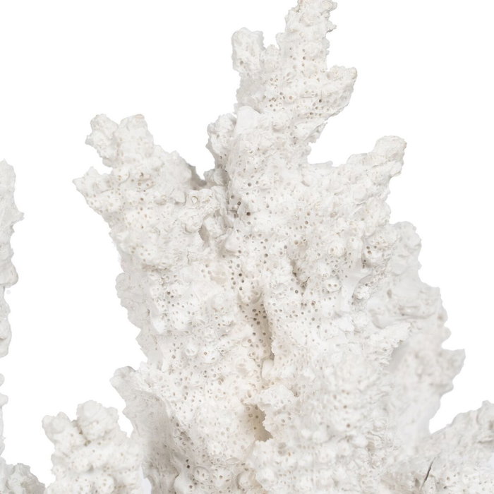BigBuy Home Figurine Décorative Corail Blanc en Résine