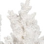 BigBuy Home Figurine Décorative Corail Blanc en Résine