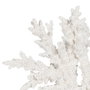 BigBuy Home Figurine Décorative Corail Blanc en Résine