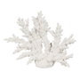 BigBuy Home Figurine Décorative Corail Blanc en Résine