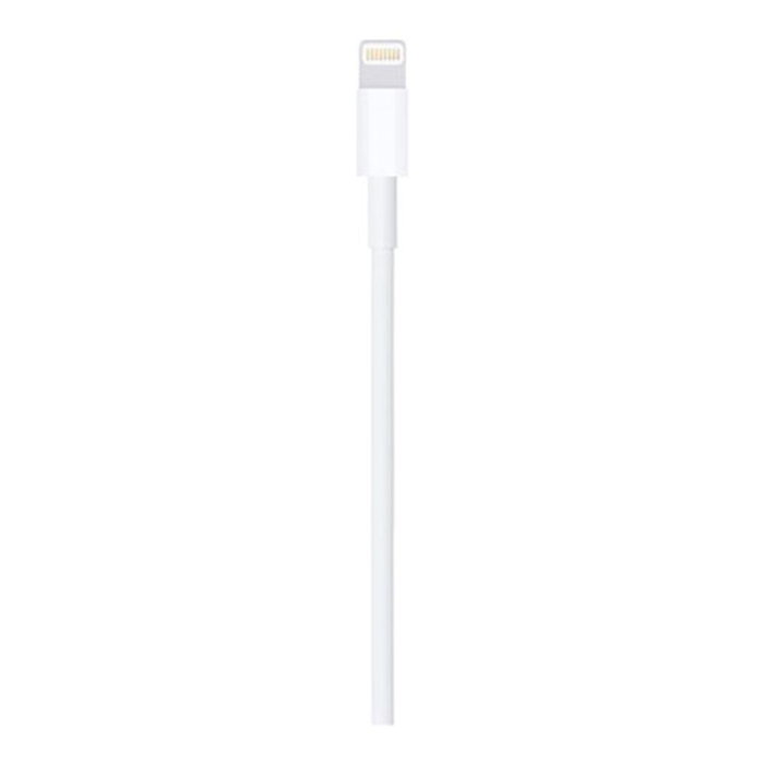Apple Câble Lightning vers USB-A 1 m - Connecteur Mâle pour iPhone iPad