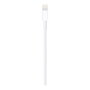 Apple Câble Lightning vers USB-A 1 m - Connecteur Mâle pour iPhone iPad
