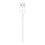 Apple Câble Lightning vers USB-A 1 m - Connecteur Mâle pour iPhone iPad