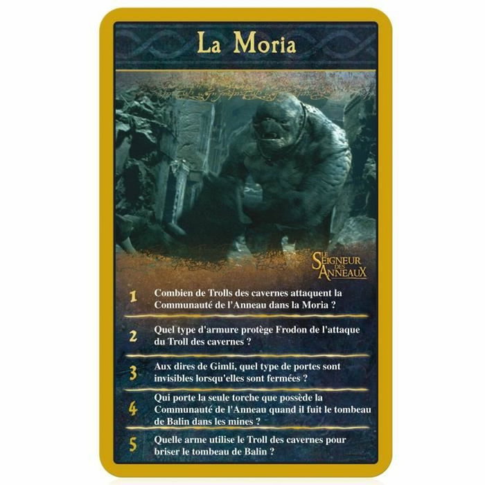 Winning Moves Quizz Le Seigneur des Anneaux 500 Questions - Format Voyage - Version française