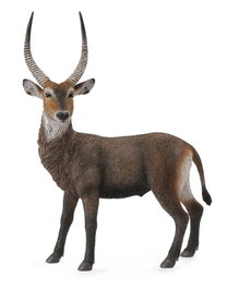 COLLECTA Antilope Aquatique - Taille L