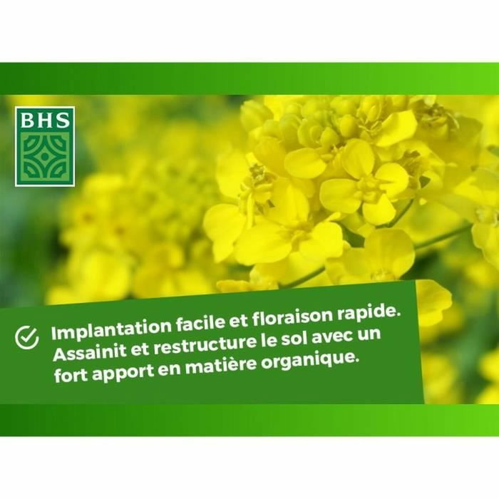 BHS Engrais Verts - Moutarde Blanche 500g BHS Engrais Verts - Moutarde Blanche 500g