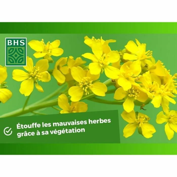 BHS Engrais Verts - Moutarde Blanche 500g BHS Engrais Verts - Moutarde Blanche 500g