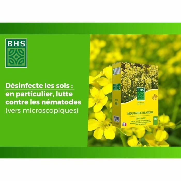 BHS Engrais Verts - Moutarde Blanche 500g BHS Engrais Verts - Moutarde Blanche 500g