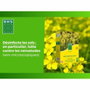 BHS Engrais Verts - Moutarde Blanche 500g