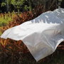 Biotop Toile de protection de cultures 4 x 10 m 30g/m²