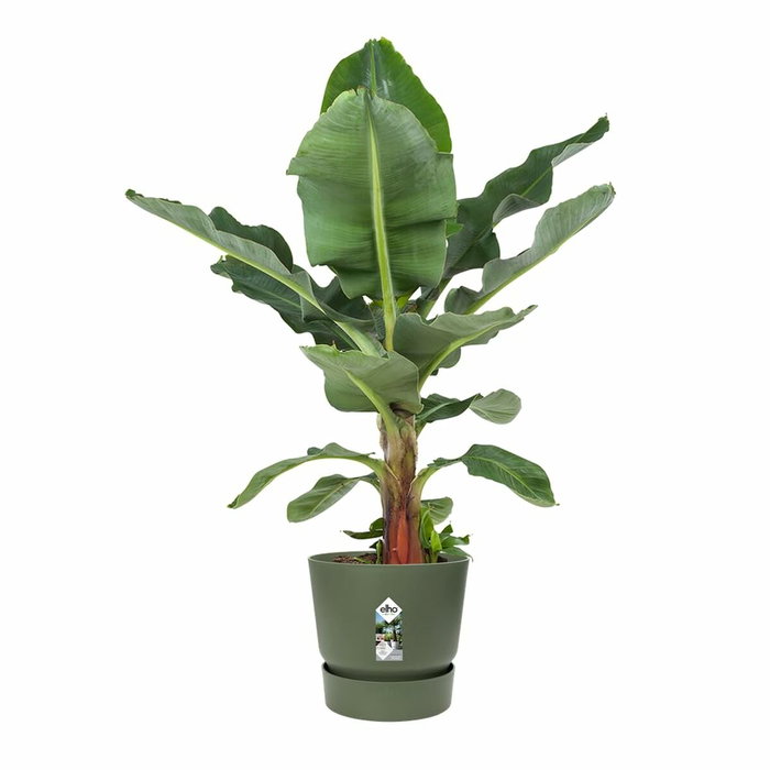 Elho Pot de fleurs rond Greenville Vert Ø 55 cm