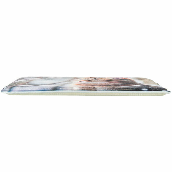 Matelas Trixie 40 x 30 cm Chat Matelas Trixie 40 x 30 cm Chat