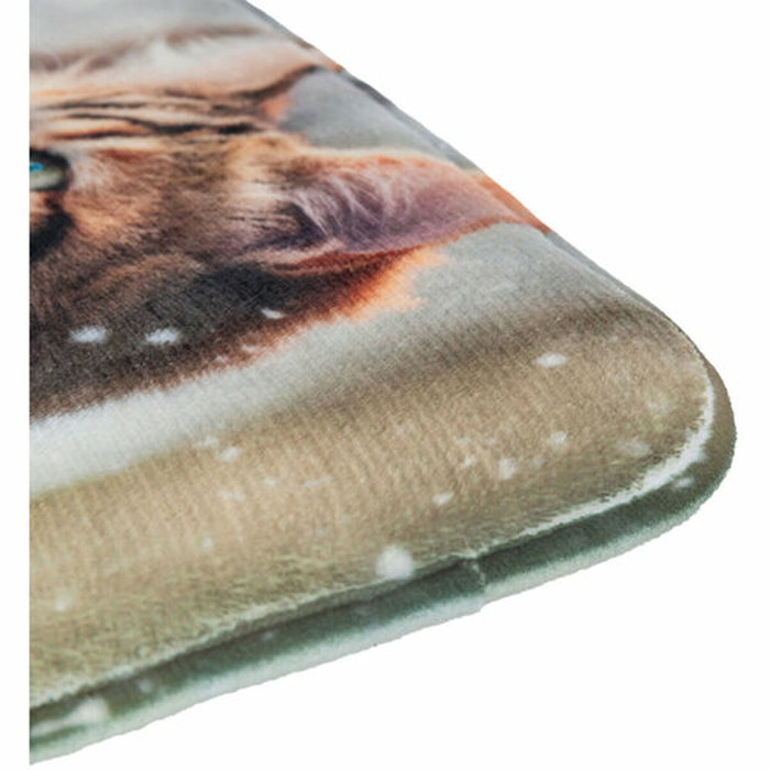 Matelas Trixie 40 x 30 cm Chat Matelas Trixie 40 x 30 cm Chat