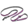 KURGO QUANTUM - Laisse polyvalente mains libres 6 en 1 - Ajustable 120 a 180 cm - Pour chien de petite taille - Violet