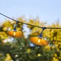 Lumisky - Guirlande Lumineuse LED Vinty Light Connectable, 10 Ampoules Filament E27 Blanc Chaud, IP64, 6m, Intérieur/Extérieur, Décoration Vintage