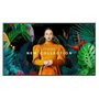 Samsung QM50C Série QMC 50 pouces 4K UHD