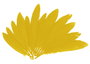 Innspiro Plumes indio jaune 60 unités