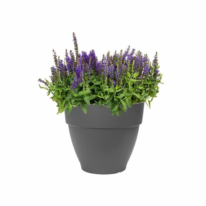 Elho Lot de 2 pots de fleurs ronds Vibia Campana et soucoupes Loft, 22 L, Anthracite