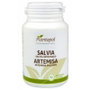 PLANTAPOL SALVIA+ARTEMISA 90 comprimés