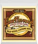 ERNIEBALL Jeu de cordes acoustique Earthwood Silk & Steel 80/20 Bronze 12 cordes 9-46