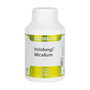 EQUISALUD HOLOFUNGI Micelium 180 capsules