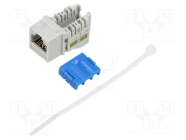 GOOBAY Module RJ45 Keystone Cat 6a Gris