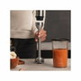 Cecotec Mixeur plongeant Power TitanBlack 1500 XL PerfectCream & Crush