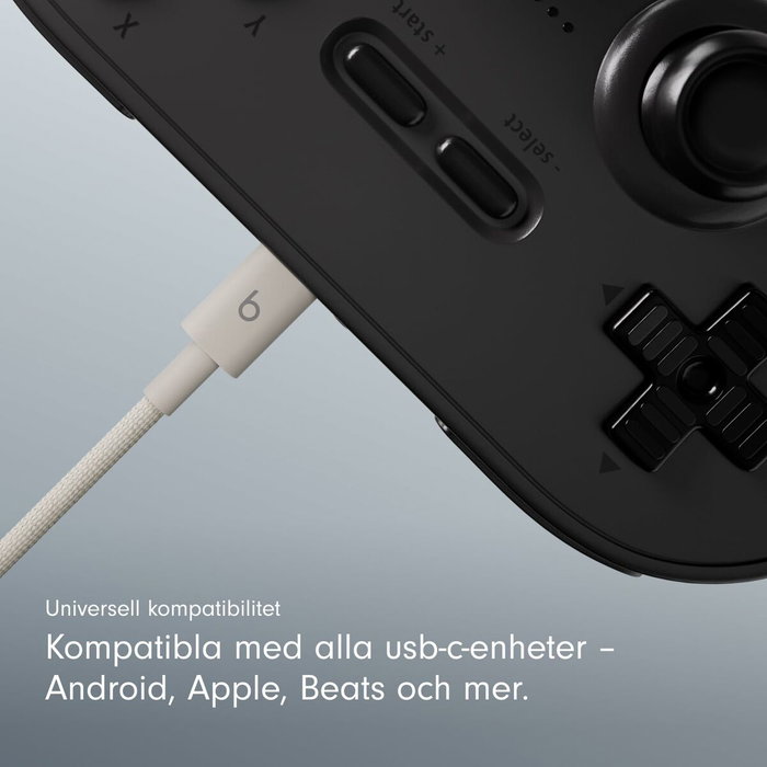 Câble USB-C vers USB-C Apple MDGD4ZM/A Gris 1,5 m