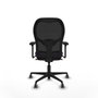 Piqueras y Crespo Chaise de Bureau Jorquera 3D036G0 Violet