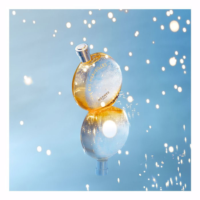 Hermès L'Eau des Merveilles Eau de Toilette Femme Vaporisateur 50 ml Ambrée Boisée